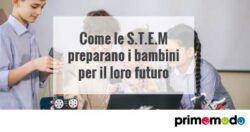 stem