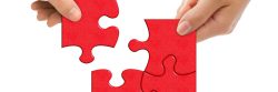 Bilinguismo e plasticità del cervello